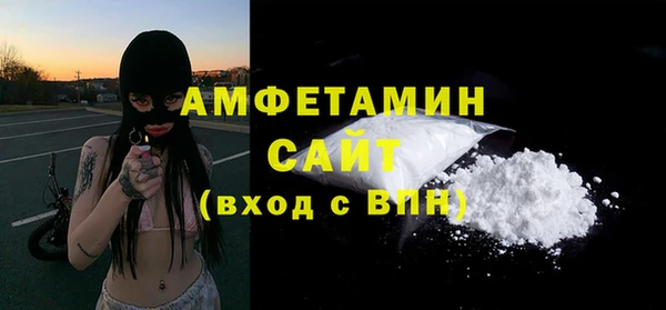 молекула духа Алексеевка