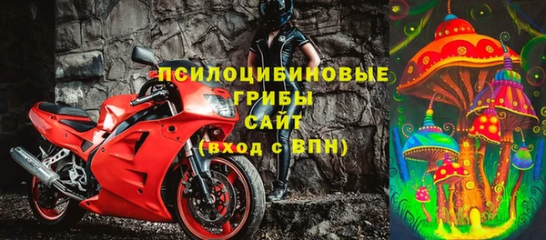 ПСИЛОЦИБИНОВЫЕ ГРИБЫ Алзамай