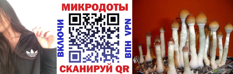 Псилоцибиновые грибы мухоморы  Миньяр 