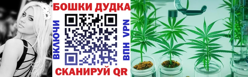 Каннабис индика  Миньяр 